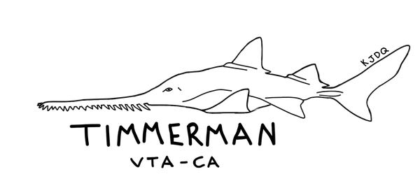 Timmerman 